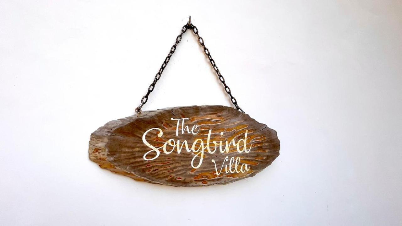 The Songbird *